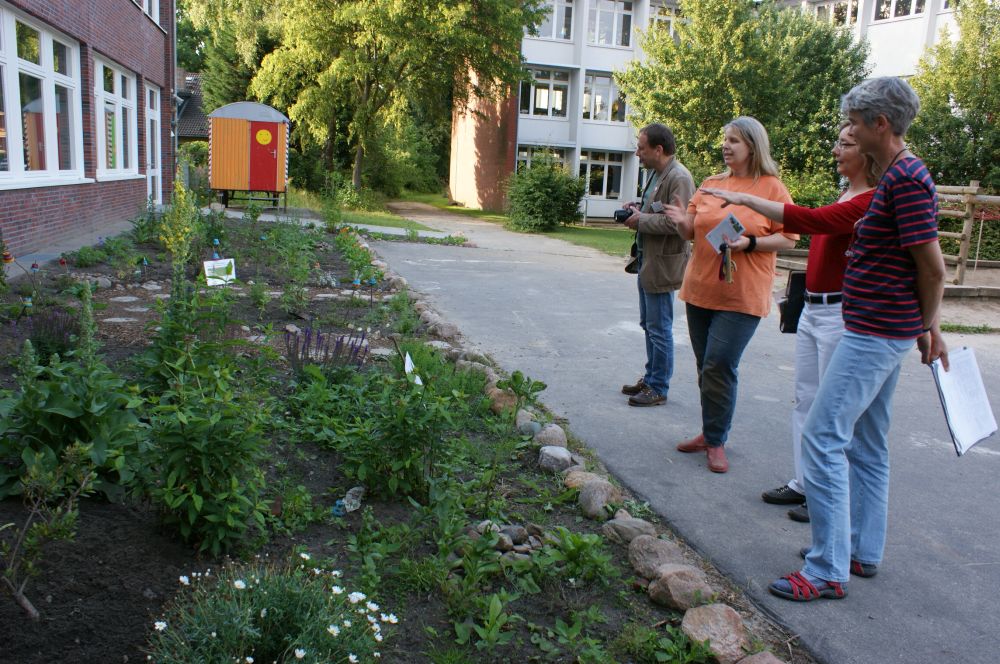 Urbanes Gärtnern Hamburg summt
